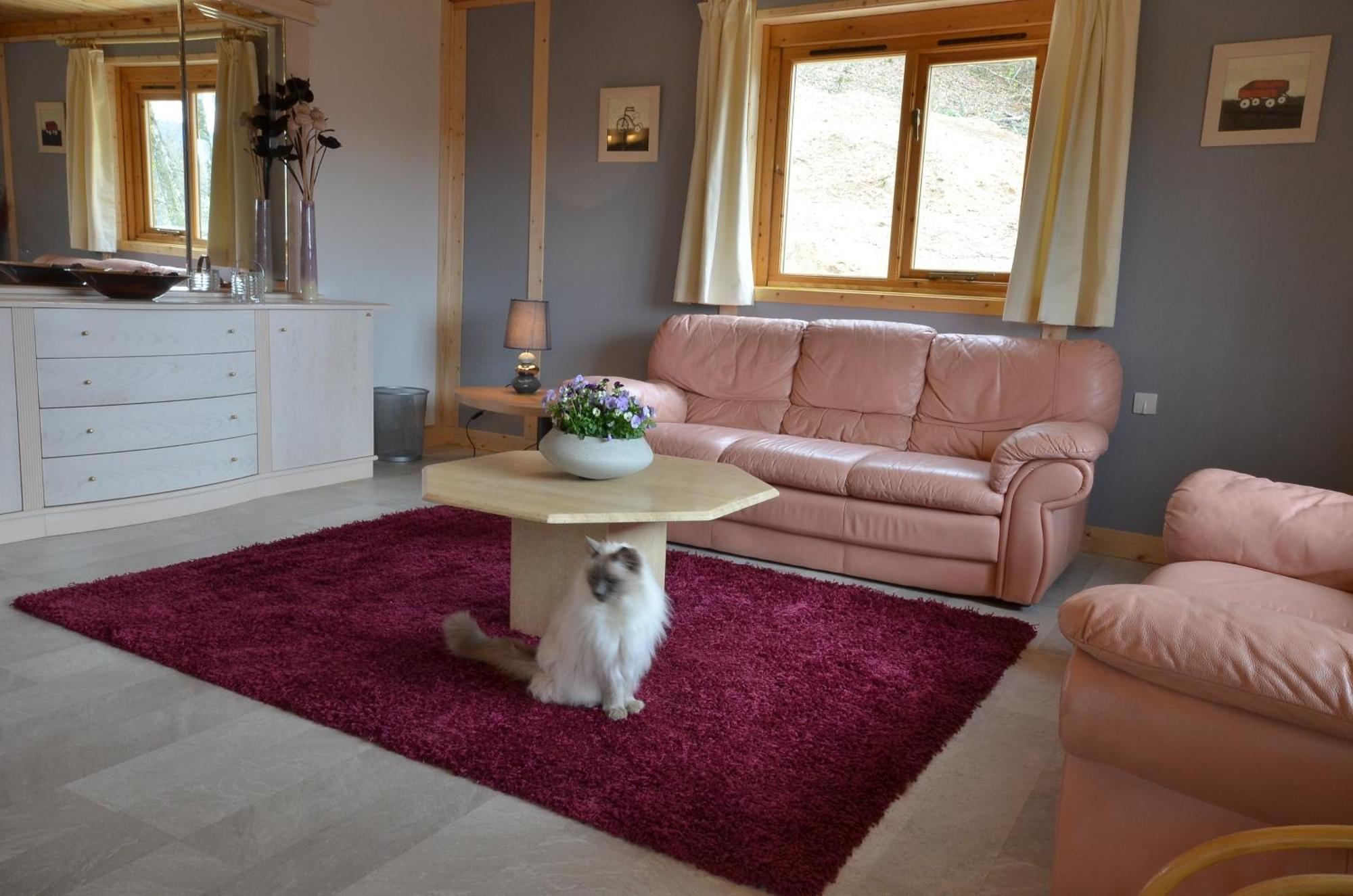 Woodlands Cottage Treignac Luaran gambar